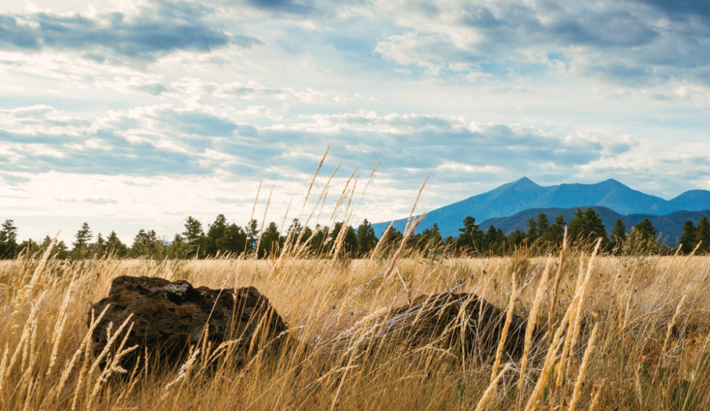 San Francisco Peaks 