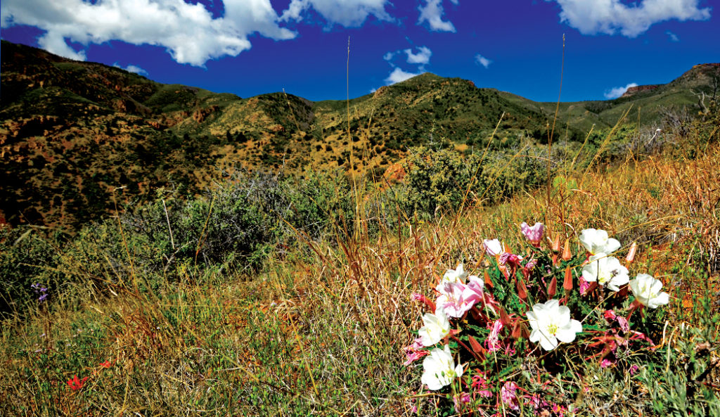 black canyon trail