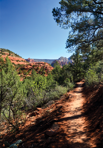 Sedona View Trail