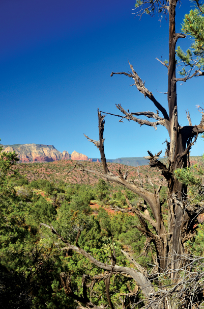 Pyramid to Scorpion Trail Loop