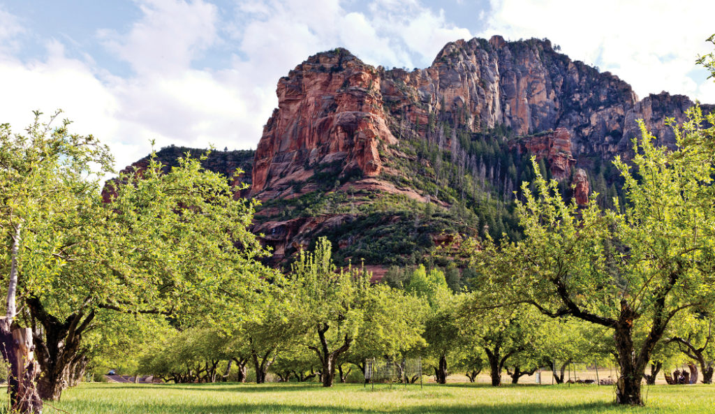 Sedona Neighborhood Guide