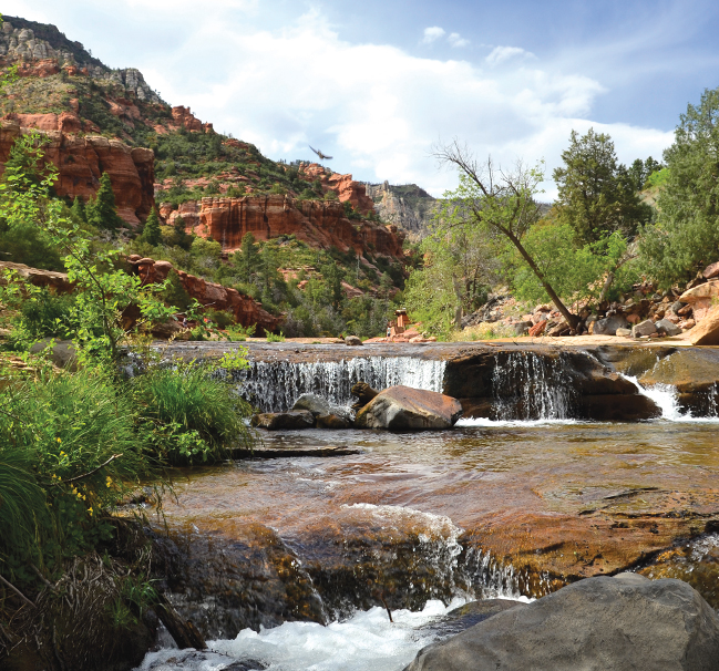 Where to Swim in Sedona