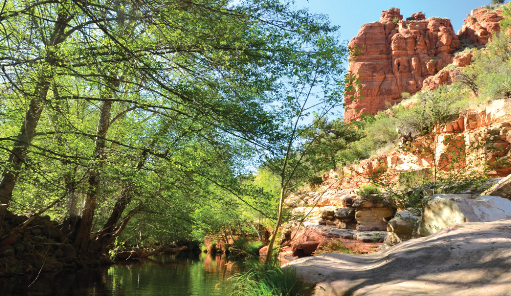 Where to Swim in Sedona