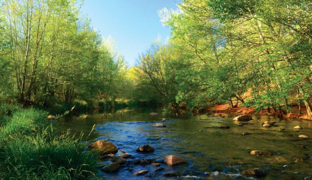 Where to Swim in Sedona