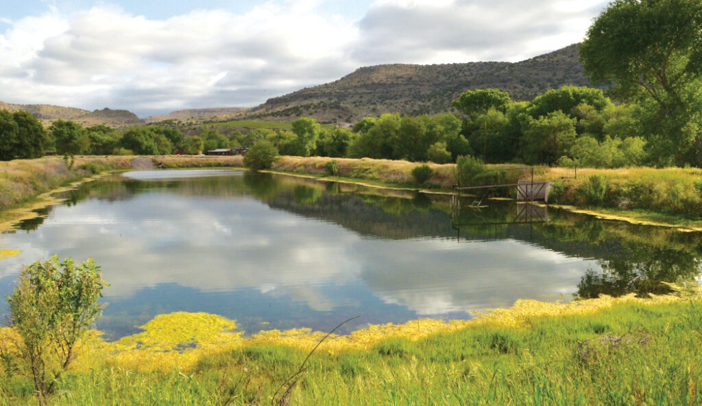 Bubbling Ponds Fish Hatchery